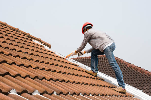 Best Roof Insulation Installation  in White Bluff, TN